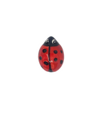 Coccinella