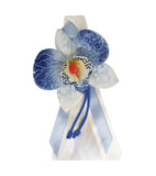 Orchidea blu pioggia