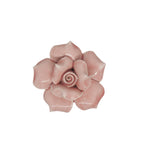 Peonia